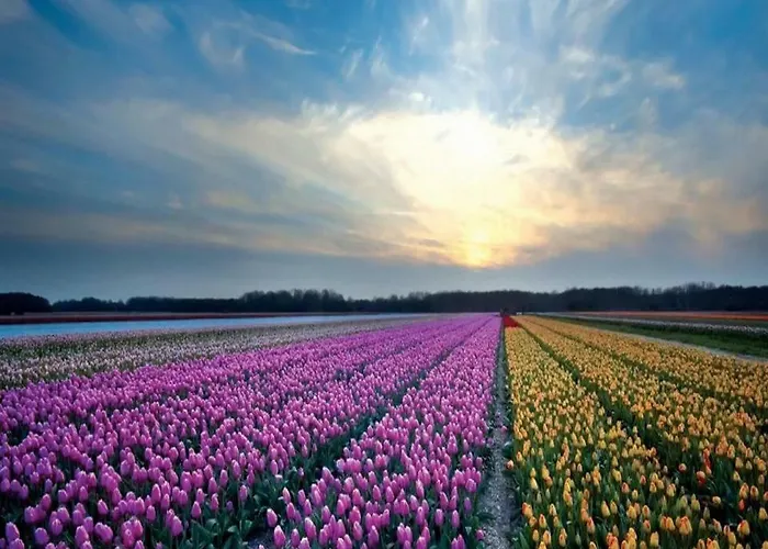 Het Hoekhuisje Egmond aan Zee