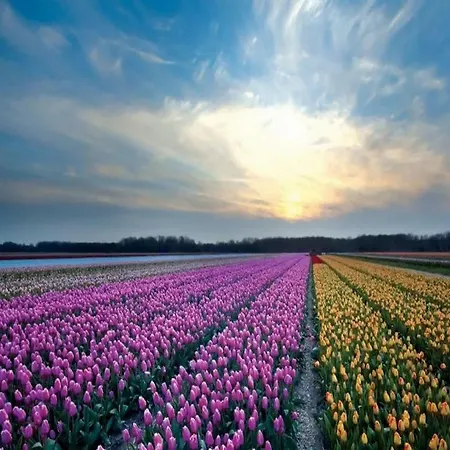 Het Hoekhuisje Egmond aan Zee